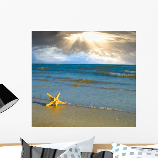 Sea Star Beach Sand