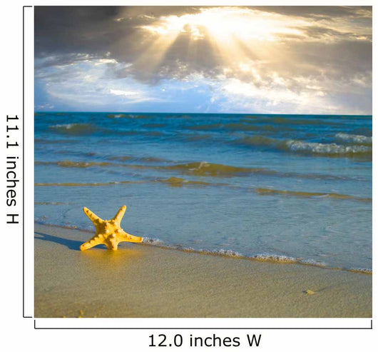 Sea Star Beach Sand