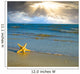Sea Star Beach Sand