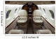Business Jet Interior