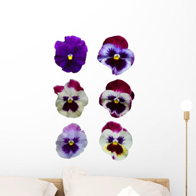 Six Pansies Pansy Flowers Wall Decal Sticker Set shown on a wall