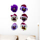 Six Pansies Pansy Flowers Wall Decal Sticker Set