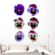 Six Pansies Pansy Flowers Wall Decal Sticker Set