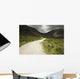 Lone Person Walking On A Path Leading Up To Mahon Falls Wall Mural