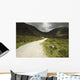 Lone Person Walking On A Path Leading Up To Mahon Falls Wall Mural