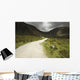 Lone Person Walking On A Path Leading Up To Mahon Falls Wall Mural