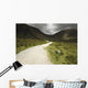 Lone Person Walking On A Path Leading Up To Mahon Falls Wall Mural