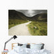 Lone Person Walking On A Path Leading Up To Mahon Falls Wall Mural