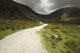 Lone Person Walking On A Path Leading Up To Mahon Falls Wall Mural