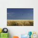 A Swallow Flying Low Over A Barley Field Wall Mural