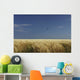 A Swallow Flying Low Over A Barley Field Wall Mural