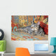 gray pixie bob lying on a couch in bright colors Wall Mural