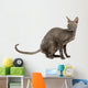 cornish rex cat isolated on white Wall Decal