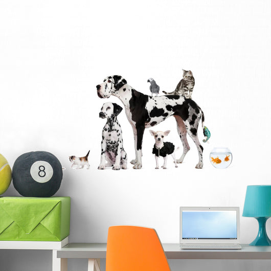 Group Pets Standing Front