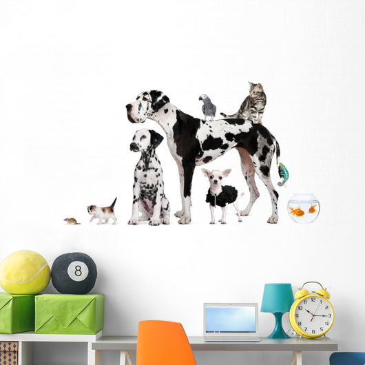 Group Pets Standing Front