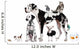 Group Pets Standing Front