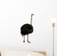 Portrait of male ostrich, standing against white background Wall Decal