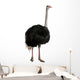 Portrait of male ostrich, standing against white background Wall Decal