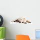 Cute labrador dog Wall Decal