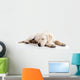 Cute labrador dog Wall Decal