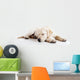 Cute labrador dog Wall Decal