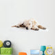 Cute labrador dog Wall Decal