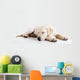 Cute labrador dog Wall Decal