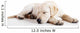 Cute labrador dog Wall Decal