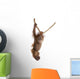 Sumatran Orangutan Hanging From Rope Wall Decal