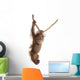 Sumatran Orangutan Hanging From Rope Wall Decal