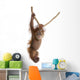 Sumatran Orangutan Hanging From Rope Wall Decal