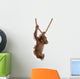 Sumatran Orangutan Hanging from Wall Decal Design 4