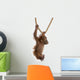Sumatran Orangutan Hanging from Wall Decal Design 4