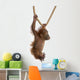 Sumatran Orangutan Hanging from Wall Decal Design 4