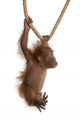 Sumatran Orangutan Hanging from Wall Decal Design 4