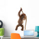 Sumatran Orangutan Hanging from Wall Decal Design 3