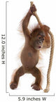 Sumatran Orangutan Hanging from Wall Decal Design 3