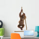 Sumatran Orangutan Hanging from Wall Decal Design 2