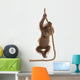 Sumatran Orangutan Hanging from Wall Decal Design 2