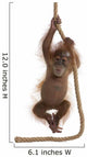 Sumatran Orangutan Hanging from Wall Decal Design 2