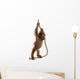 Sumatran Orangutan Hanging from Wall Decal Design 1