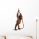 Sumatran Orangutan Hanging from Wall Decal Design 1