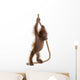 Sumatran Orangutan Hanging from Wall Decal Design 1