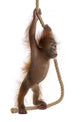 Sumatran Orangutan Hanging from Wall Decal Design 1