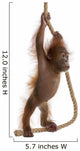 Sumatran Orangutan Hanging from Wall Decal Design 1