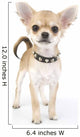 Chihuahua puppy with black leather collar with spikes Wall Decal