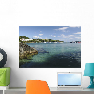 Bay beside Glandore Village Wall Mural shown on a wall