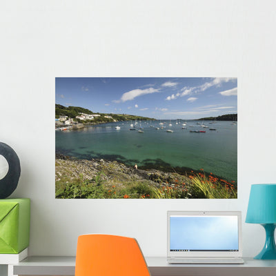 Bay beside Glandore Village Wall Mural shown on a wall