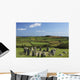 Drombeg Stone Circle Near Glandore In West Cork In Munster Region Wall Mural