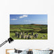 Drombeg Stone Circle Near Glandore In West Cork In Munster Region Wall Mural